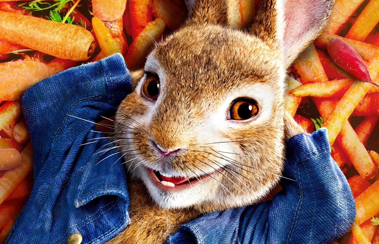 sony_rabbit